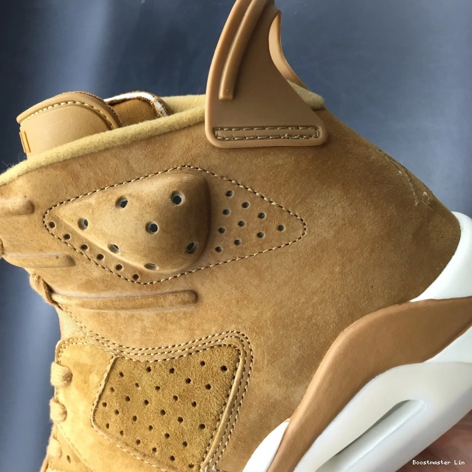 Boostmaster lin Jordan 6 